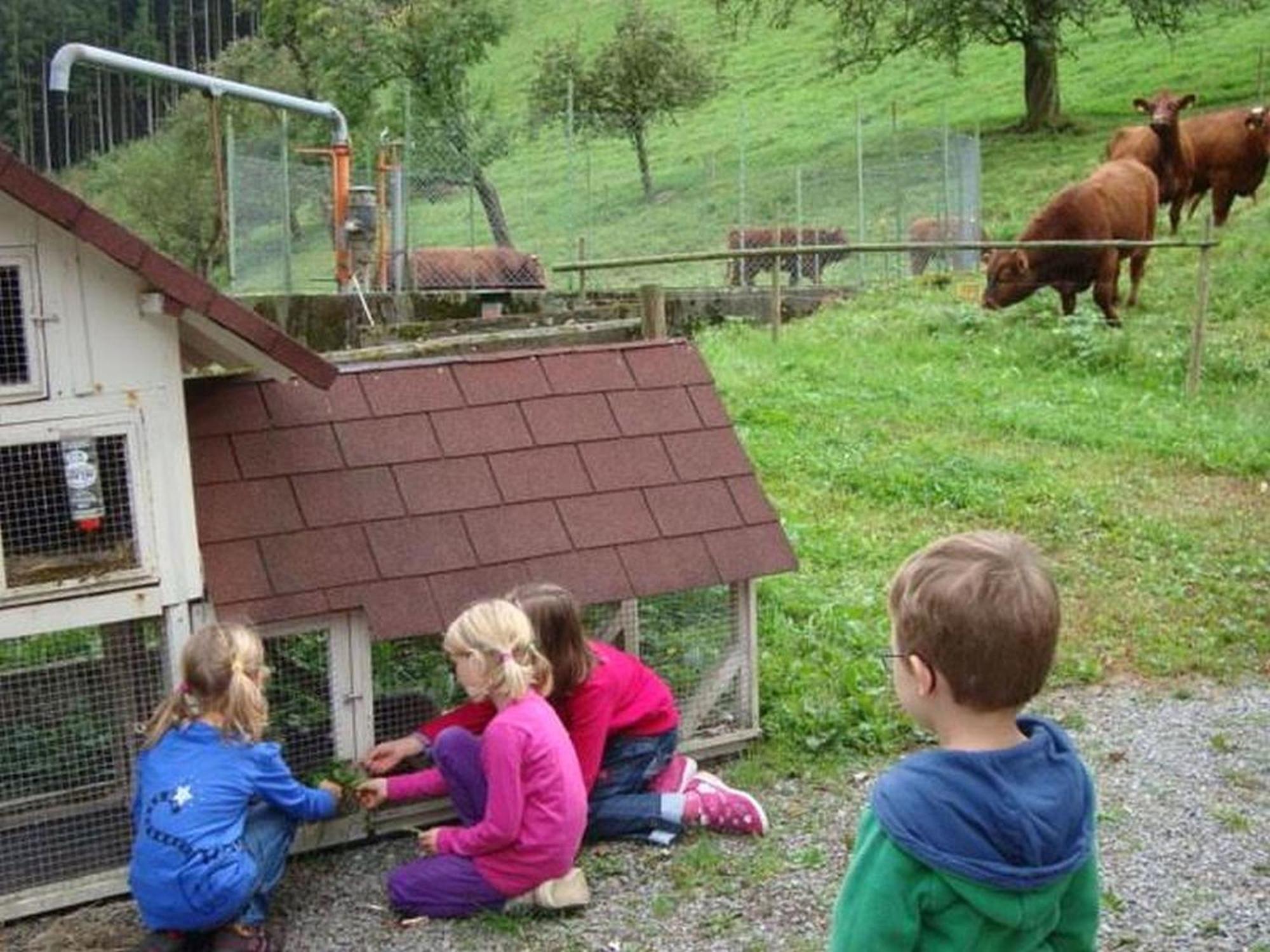 Klausseppenhof Oberwolfach
