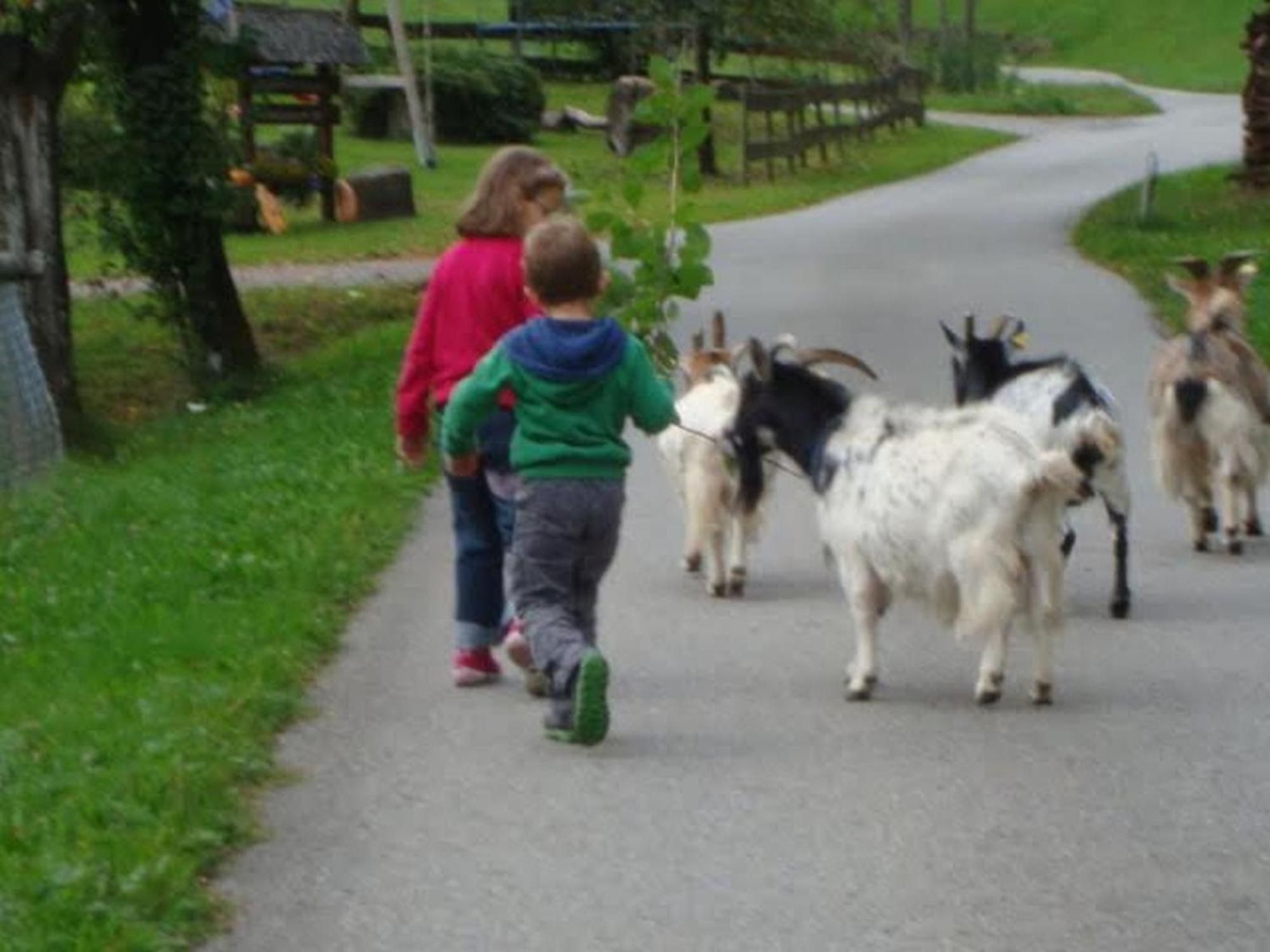 Klausseppenhof Oberwolfach